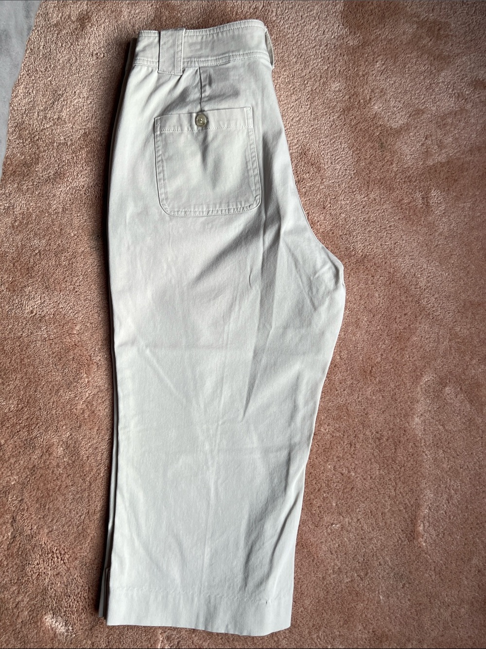 Coldwater Creek Pink Cropped Pants Size 14P